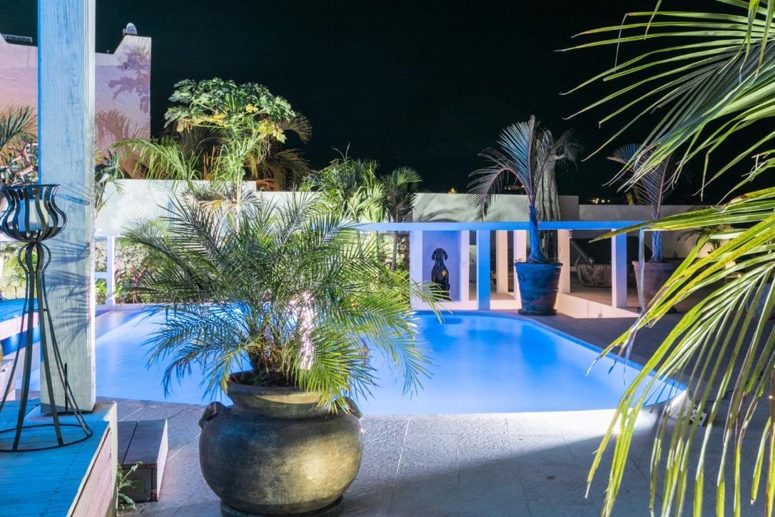 Villa Blue Lagoon Suite Apartment Lowlands Exterior foto